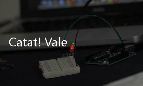 Catat! Vale Indonesia (INCO) Rilis Jadwal Lengkap Pembagian Dividen Final USD34,65 Juta