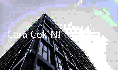 Cara Cek NIK KTP Penerima Bansos PKH 2025, Saldo Dana Cair Sampai 4 Tahap
