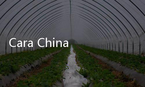 Cara China Merayu Pelaku Industri Bergeser ke Truk Listrik, Dibuat Dulu Ekosistem Tukar Baterai