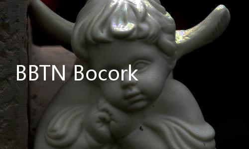 BBTN Bocorkan Rencana Usai Resmi Caplok Bank Victoria Syariah
