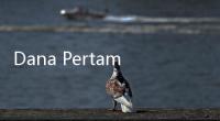 Dana Pertamina Rp 4,6 T Mengendap di Venezuela, Luhut Binsar Tagih ke AS