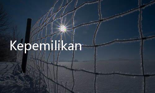 Kepemilikan Jet Pribadi Sandra Dewi dan Harvey Moeis Mulai Dibongkar Kejagung
