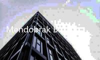 Mendobrak Batasan dan Visi Disrupsi Harry Halim