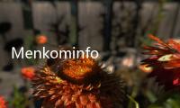 Menkominfo Tegaskan Konten Hoaks Akan Langsung Ditakedown Dalam Waktu 1x24 Jam